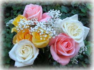 b2ap3_thumbnail_roses_bouquet_dsc00013.jpg