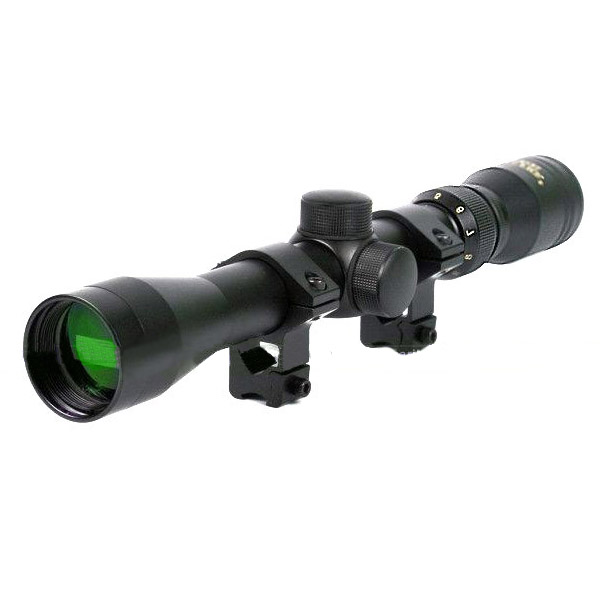 42407-gamo3940_0