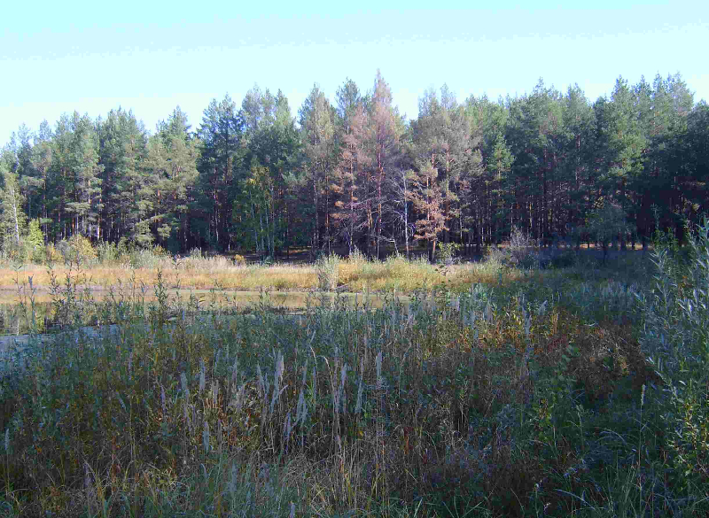 lago3